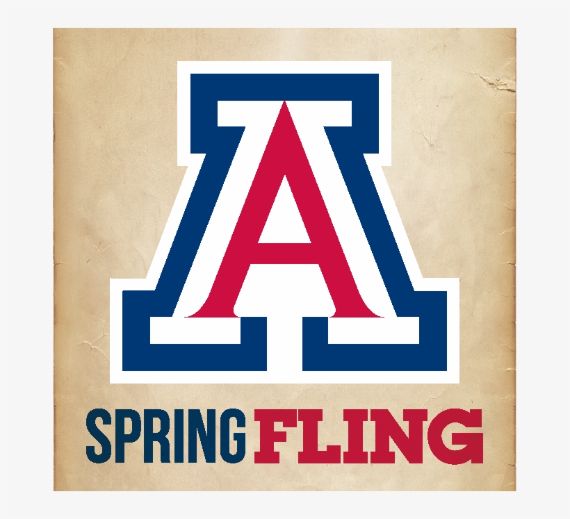 14 Springfling Profilephoto - University Of Arizona Law, transparent png download