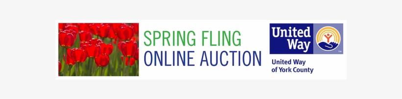 White Kraft Shopping Bags #1wks1615wht, transparent png download