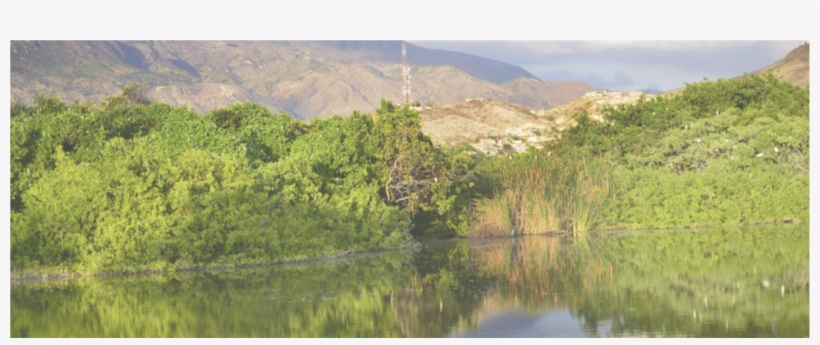 Haiti, transparent png download