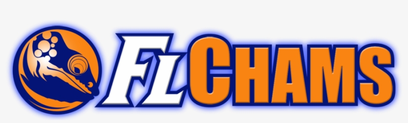 Fl Chams Fl Chams - Carpet Chameleon, transparent png download