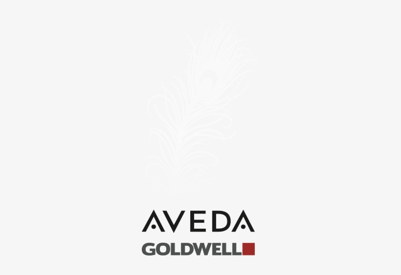 Aveda - Goldwell - Goldwell Silk Lift Intensive Conditioning Serum - 1, transparent png download