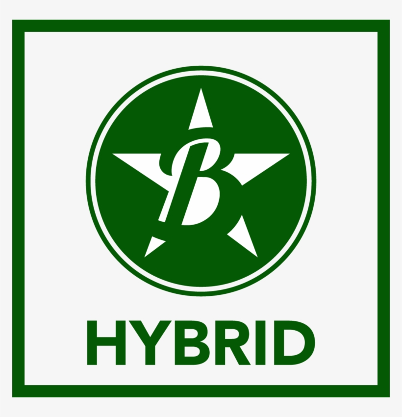 Buddy Boy Highlands Med 18 - Cannabis Shop, transparent png download