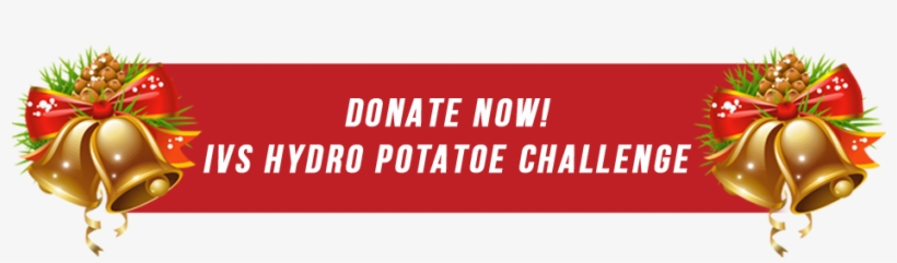 Contribute As Many “bags” Of Potatoes As You'd Like - Carmine, transparent png download
