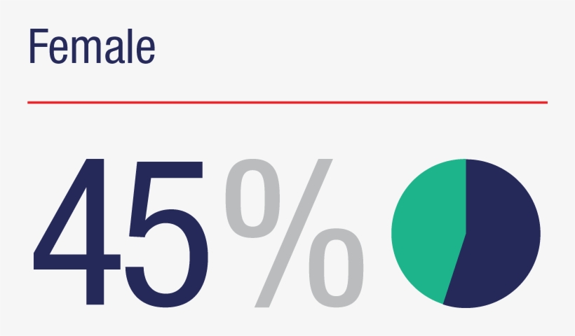 Female - 45% - Clock, transparent png download