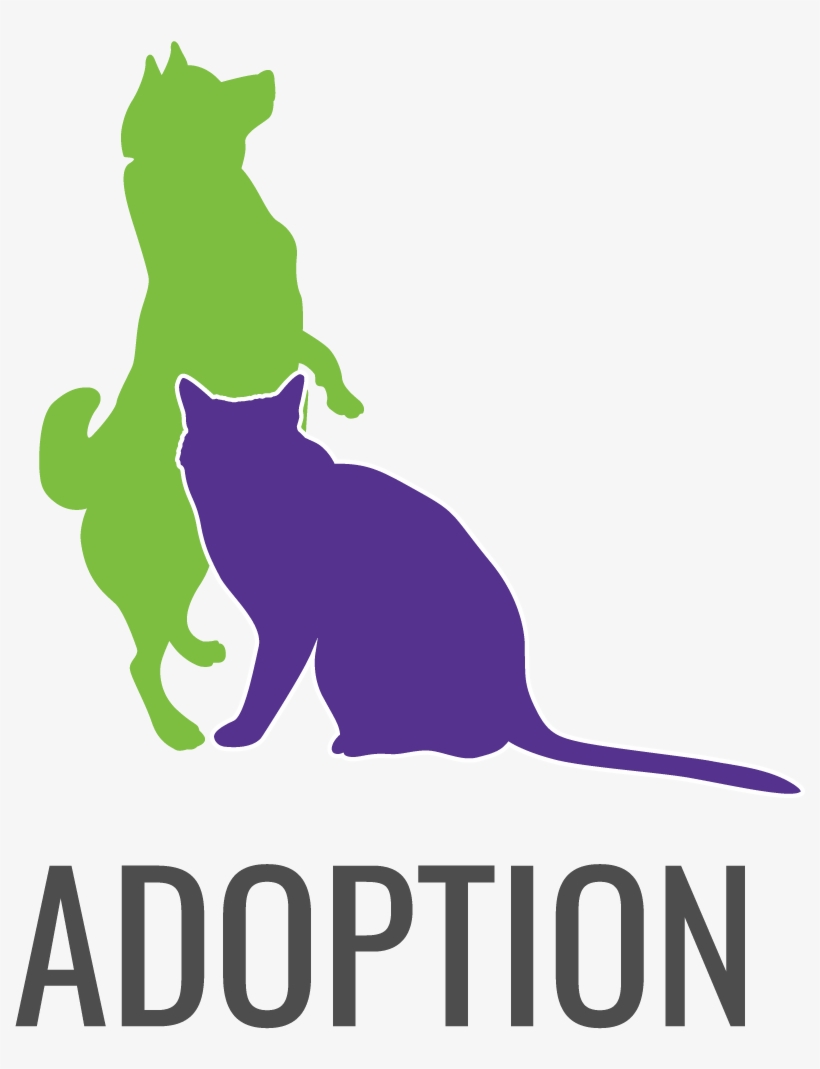 S Foster Team For An Adoption Event At Petsmart Fosters - Anorexia Help, transparent png download