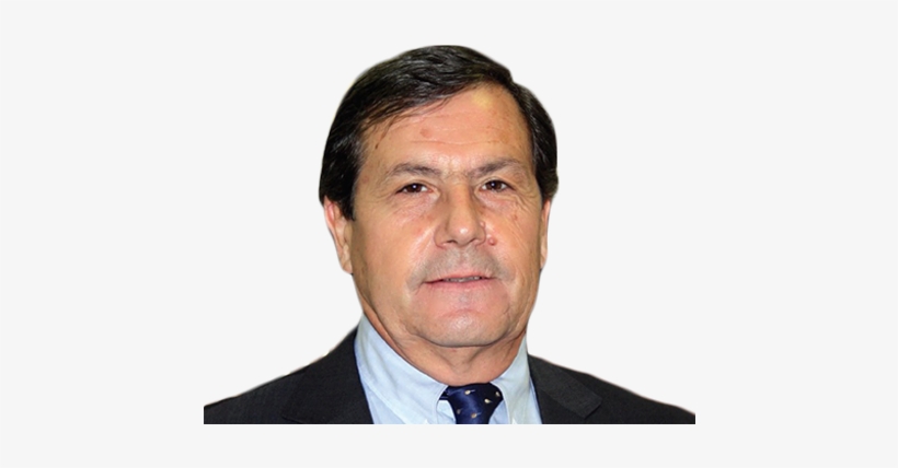 Mario Rigal Mengíbar - Haitham Almasri, transparent png download