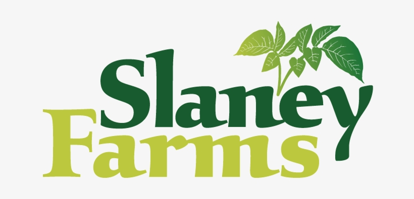 Site Map, transparent png download