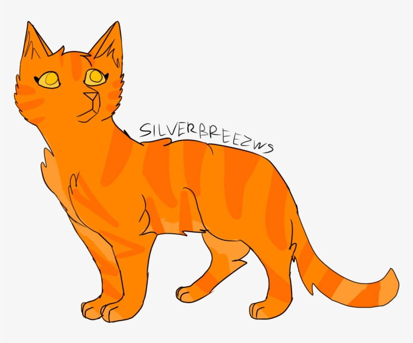 Apricotpawbase - Kitten, transparent png download