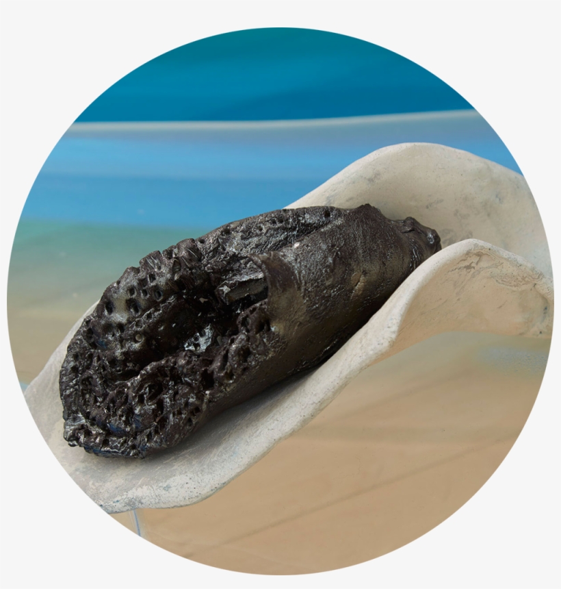 'future Fictions', A Group Show At Assembly Point, - Sand, transparent png download