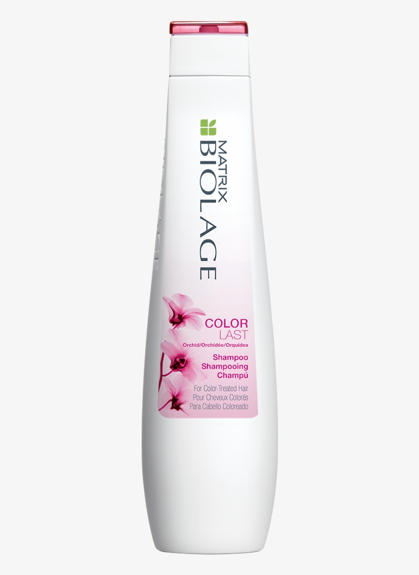 Choosing The Best Shampoo And Conditioner For Your - Matrix Biolage Color Last Shampoo, 33.8 Ounce, transparent png download