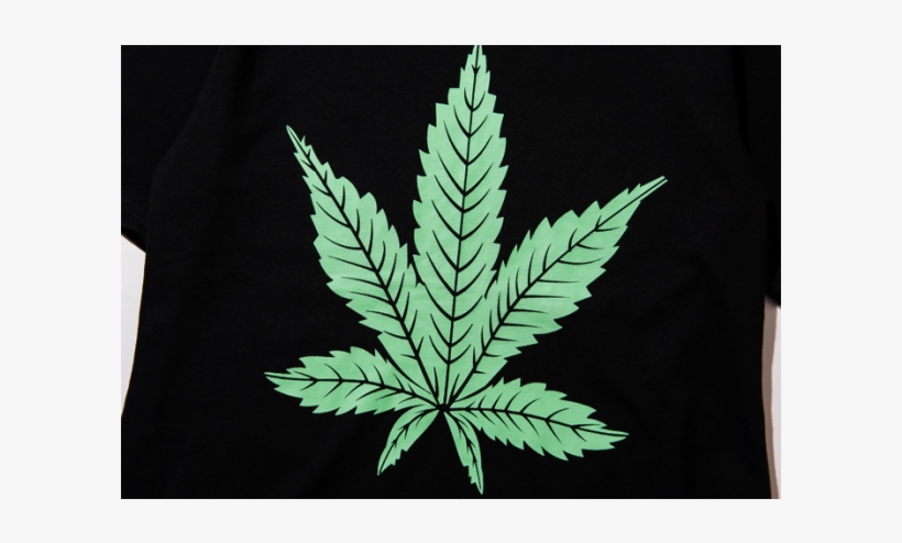 Vlone Rapper T-shirt - Fern, transparent png download