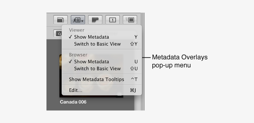Metadata Overlays Pop-up Menu In The Tool Strip - Context Menu ...