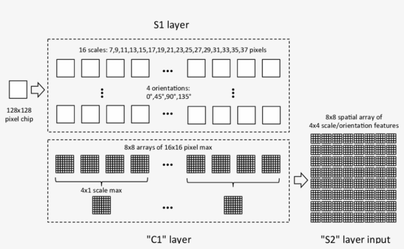 Implementation Of S1 And C1 Layers In The Standard - Jpeg, transparent png download