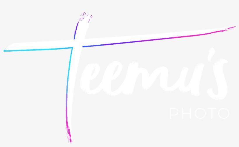 Photography, transparent png download