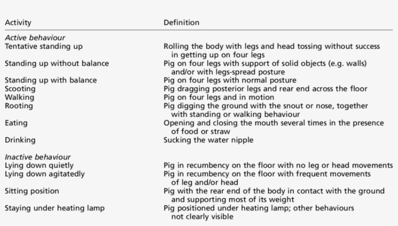 Expected Active And Inactive Behaviours And Activities - Behavior, transparent png download