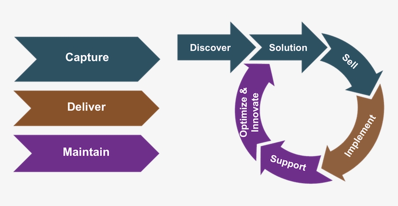 Project Phase - Capture - Organization, transparent png download