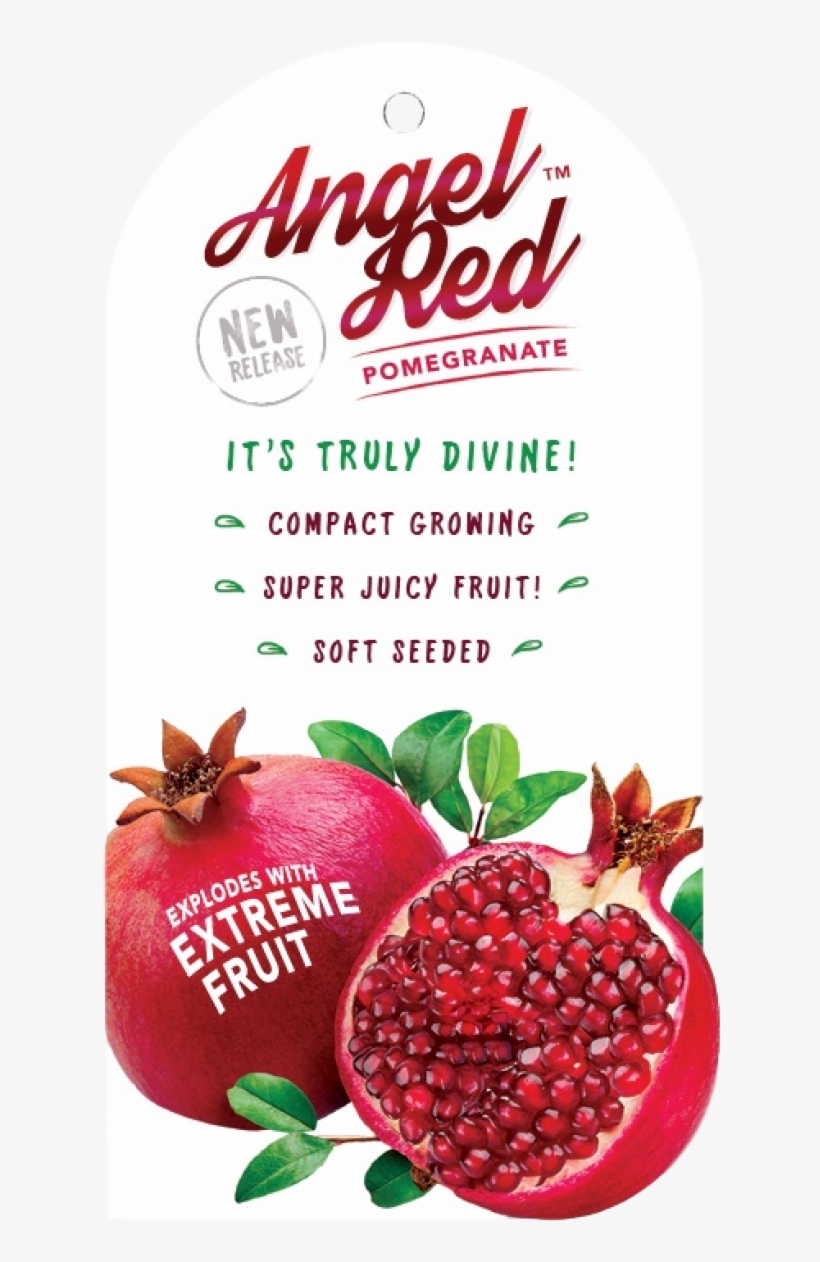 Pomegranate Angel Red - Z Natural Foods Pomegranate Juice Powder - Organic, transparent png download