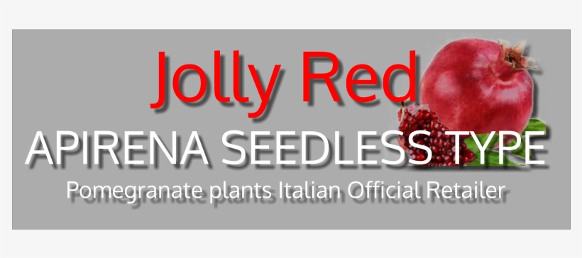 Jolly Red - Kristian Valen Still Here, transparent png download