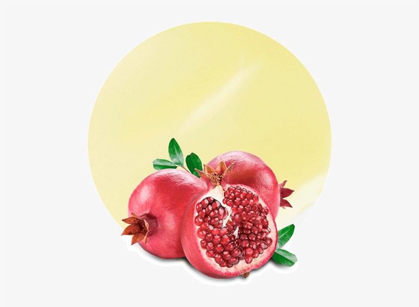 Pomegranate Essential Oil - Coco Amo Pure Sulfate-free Shampoo 8 Ounce, transparent png download