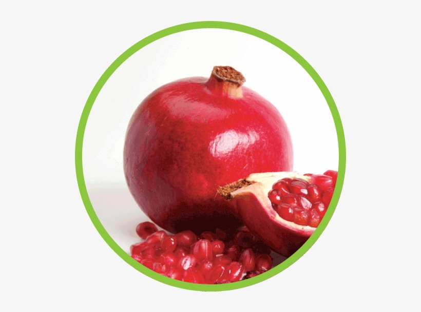 Pomegranate Seeds Png Download - Crispy Green Inc., transparent png download