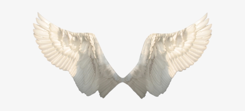 Wings - سكرابز اجنحة, transparent png download