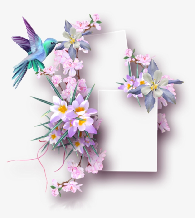 Ftestickers Frame Collage Springflowers Hummingbird - Marco Para Fotos De Mujer Png, transparent png download