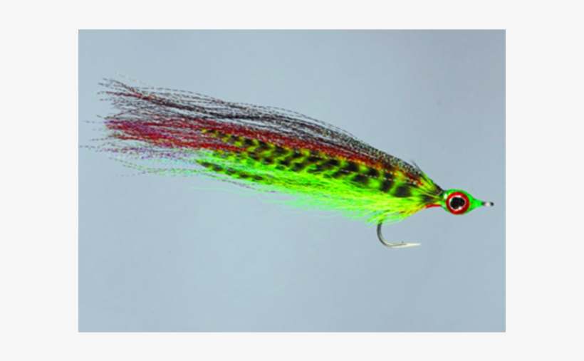 Peafowl, transparent png download