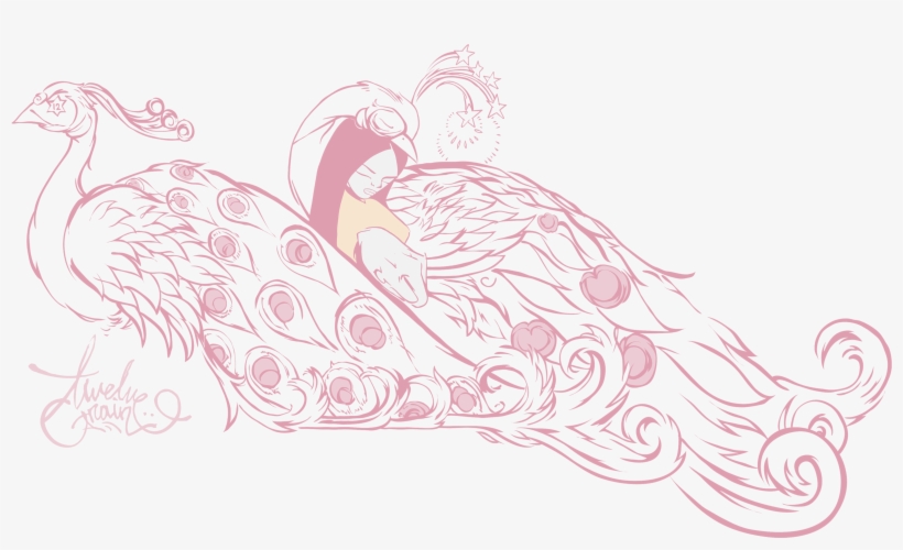 5s - Peacock - Sketch, transparent png download