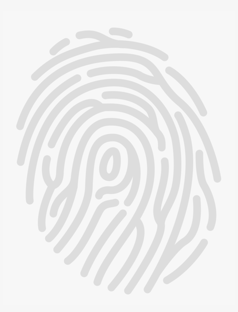 Biometric Software Development, Customization, And - Kindle Fire Hd 7 Screen Protector Amfilm Premium Hd, transparent png download
