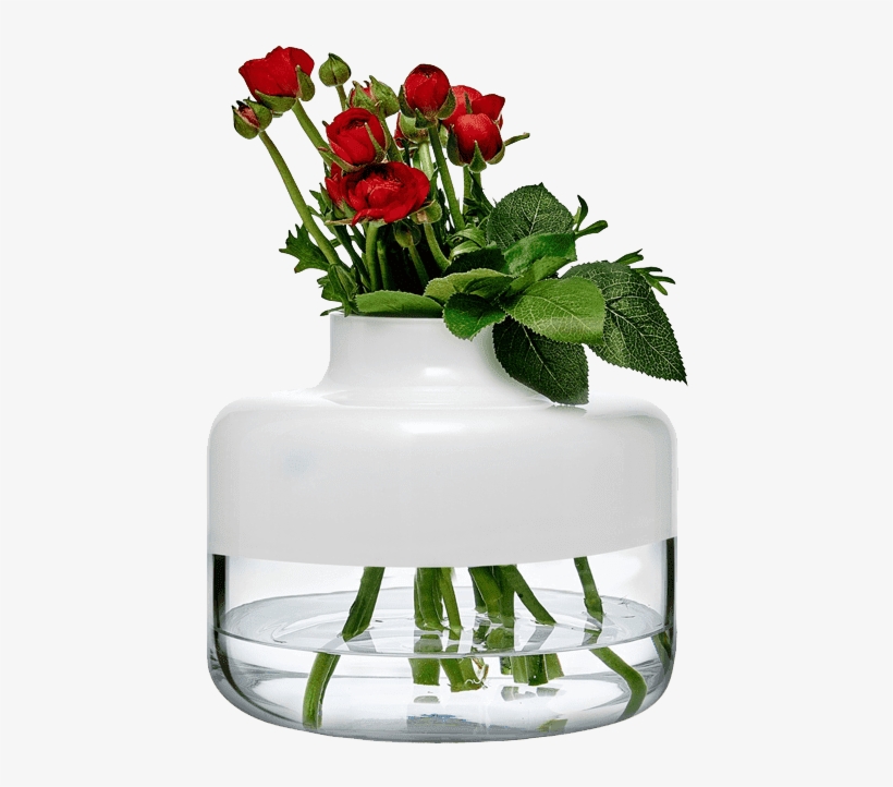 Magnolia - Vase, transparent png download