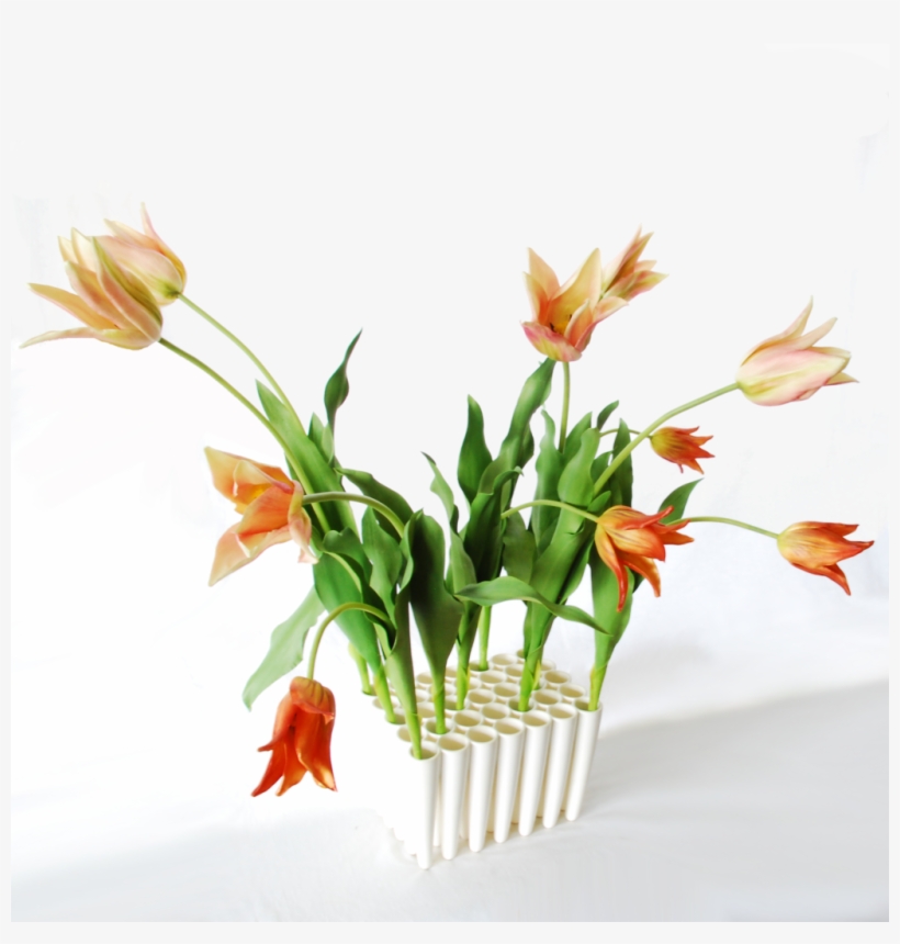 Flower, transparent png download