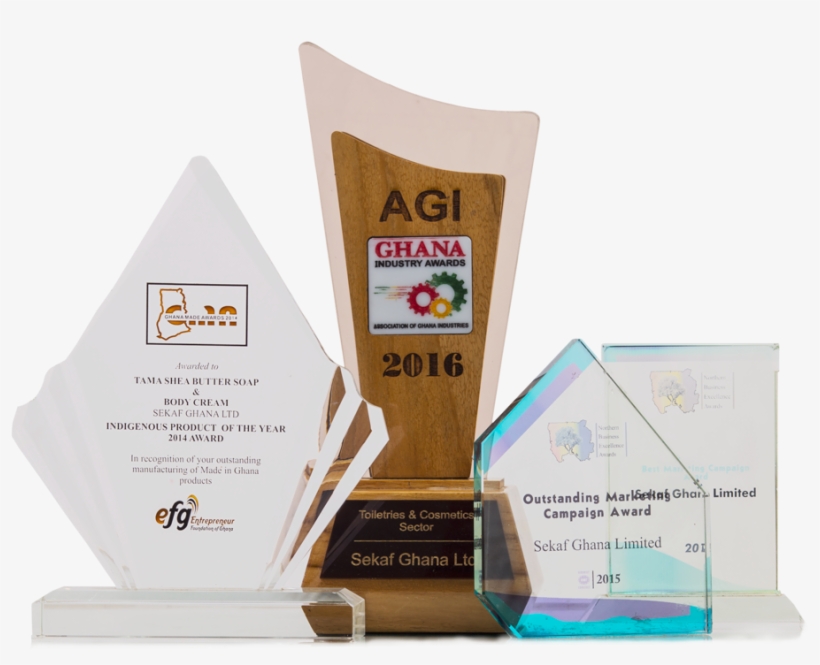 Awards - Trophy, transparent png download