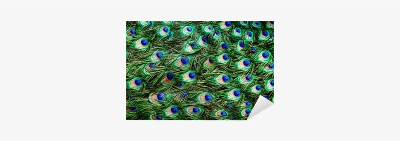 Colorful Peacock Feathers Background Sticker • Pixers - Weather Guard The Softer Side By Weather Guard 18-inch, transparent png download