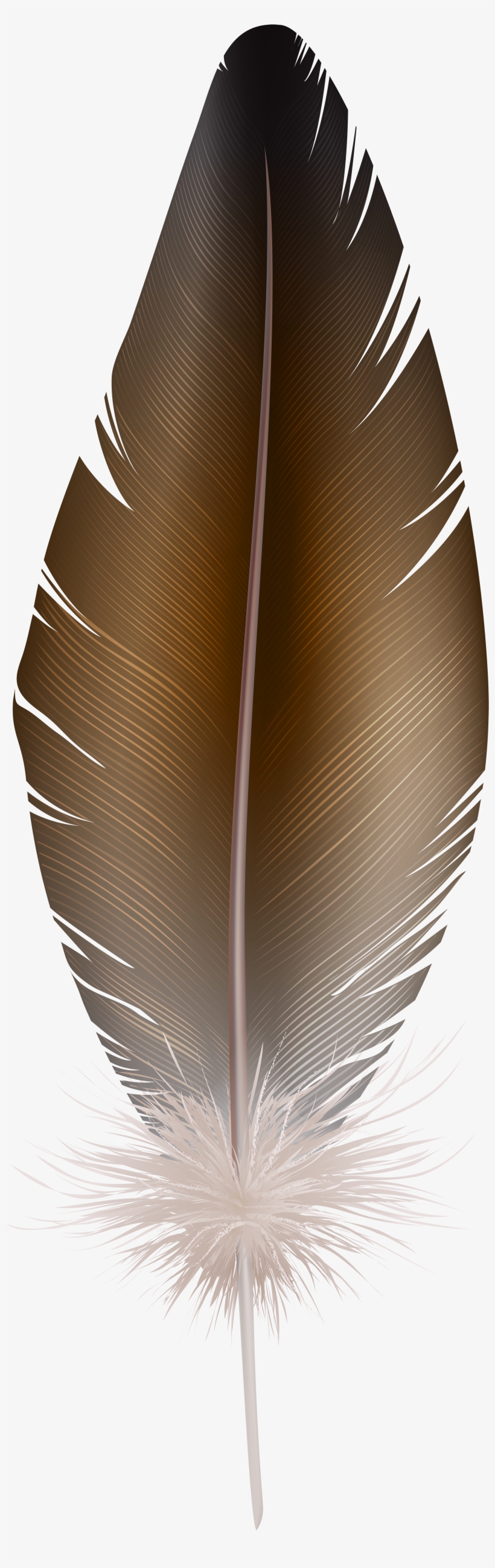 Portable Network Graphics, transparent png download