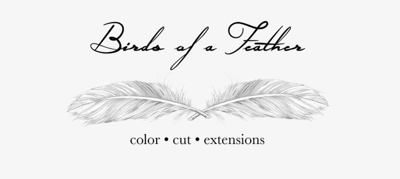 Birds Of A Feather Salon, transparent png download