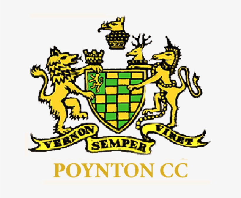 Follow - Fantasy Cricket, transparent png download