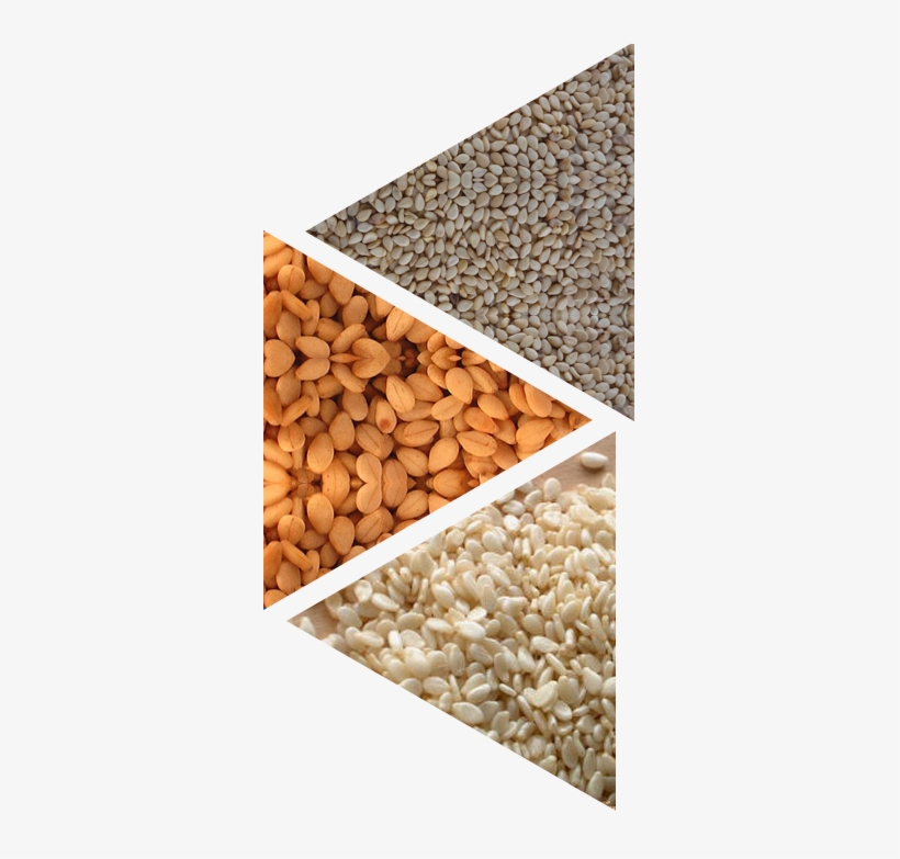 White/brown/black Sesame Seed - Hulled Sesame Seeds, transparent png download