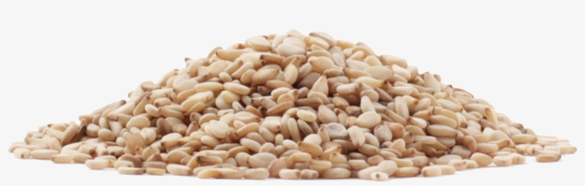 Sesame Seeds Png Image - Gluten-free Diet, transparent png download