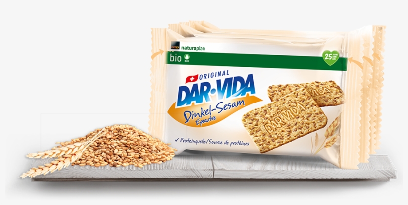 Dar Vida, transparent png download