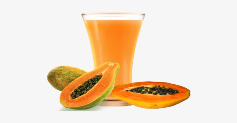 Papaya Juice - Hirt's Gardens Tainung Papaya Tree - Carica Papaya, transparent png download
