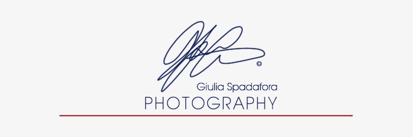 Home - Calligraphy, transparent png download