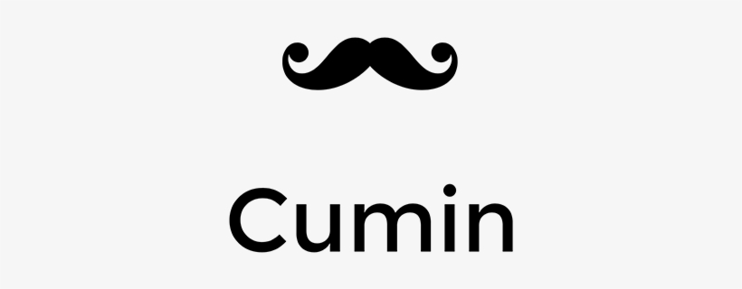 Bro Code Png, transparent png download