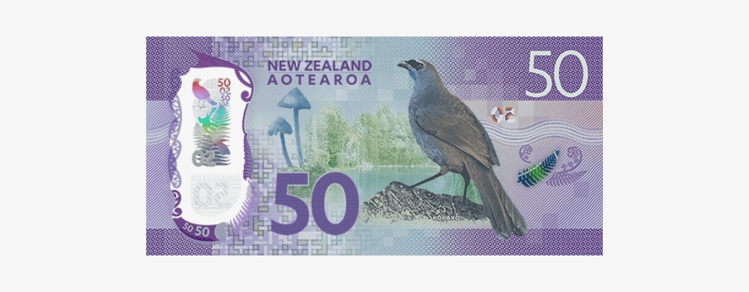 Explore $5 Note Explore $10 Note - 纽 币 50, transparent png download
