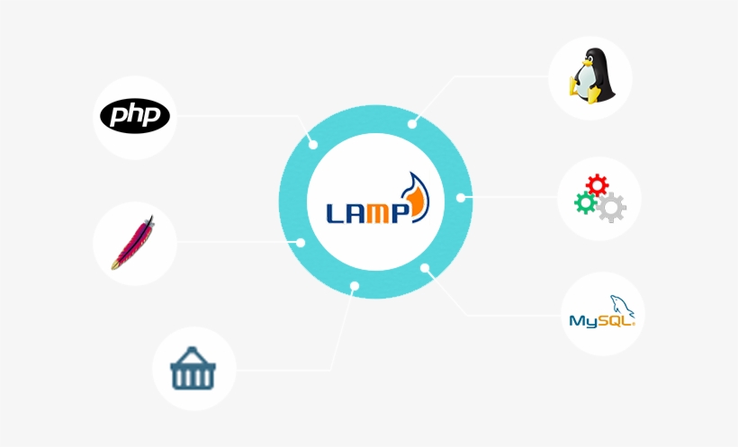 Lamp Solutions - Linux Apache Mysql Php, transparent png download