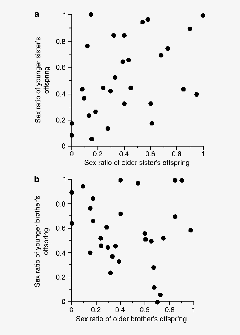 Correlation Between Sisters In Their Offspring Sex - Sex Ratio, transparent png download