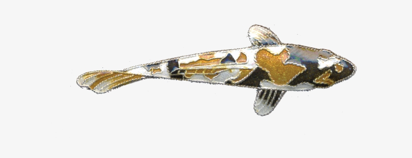 0017pin -, transparent png download