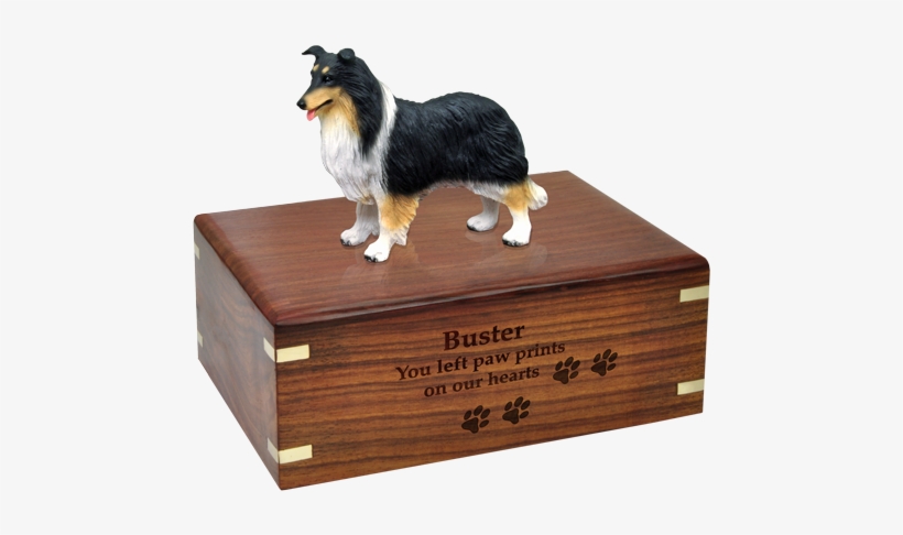 Tricolor Collie Dog Figurine With Engraved Urn Base - Pug Urn, transparent png download