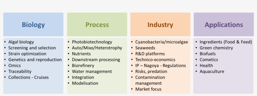 Topics Isap 2017 - Aat, transparent png download