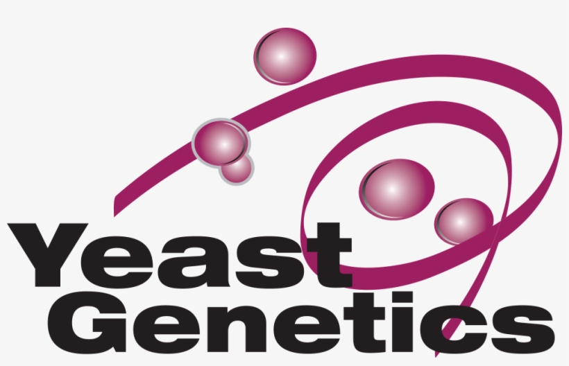 The Yeast Genetics Meeting Abstract Submission Deadline - Allied Genetics Conference, transparent png download