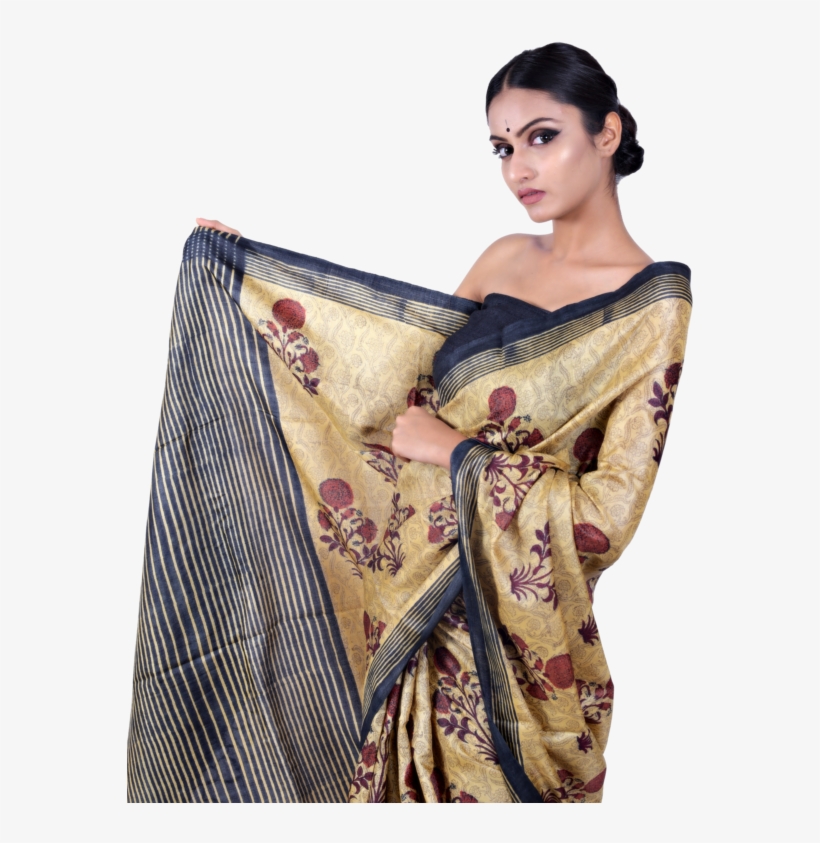 Beige/black Tussar Silk Saree - Photo Shoot, transparent png download